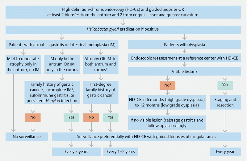 Алгоритм ведения атрофического гастрита, кишечной метаплазии или дисплазии желудка