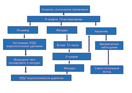 Лечебно-диагностический алгоритм при инертных инородных телах ЖКТ