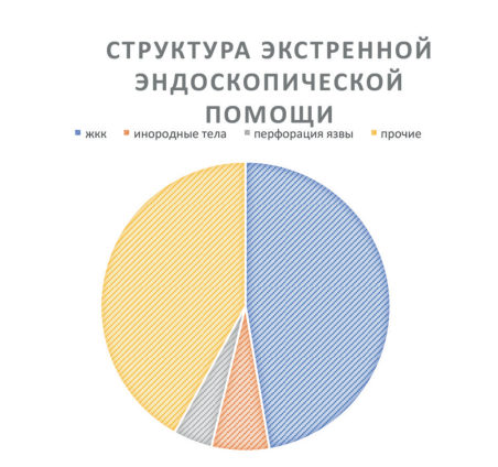 Рис. 4. Структура экстренной эндоскопической помощи (по материалам СПб ГБУЗ «Городская Мариинская больница»).