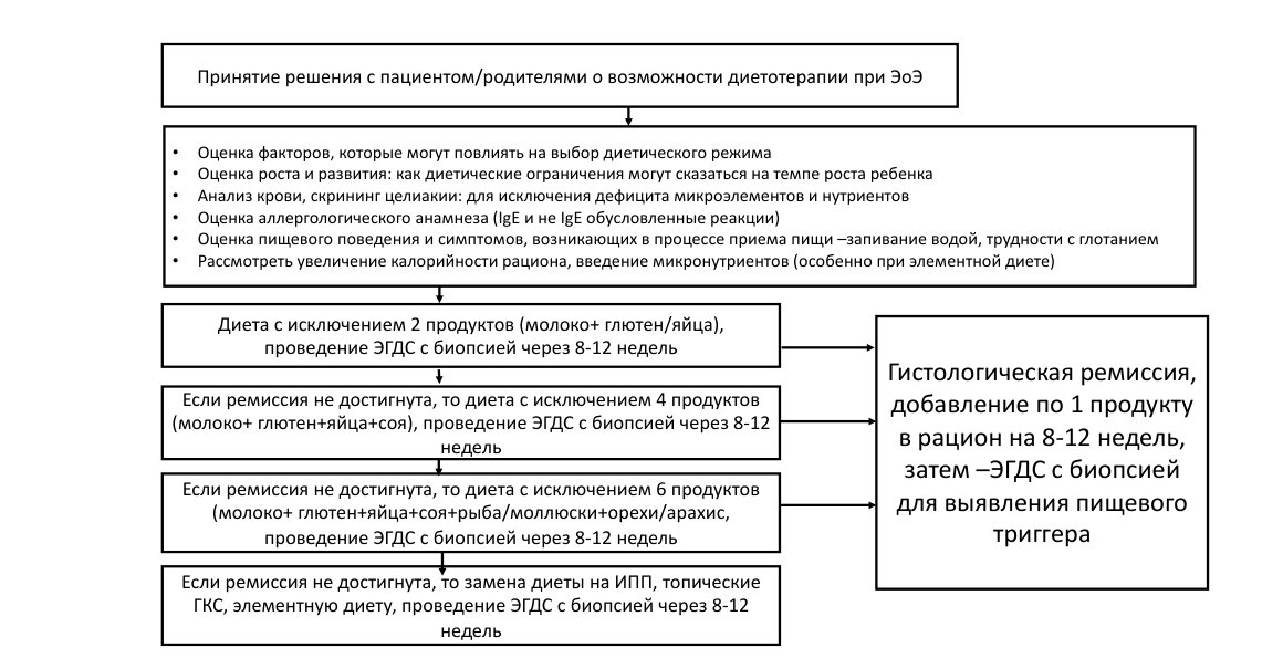 Блок-схема алгоритма диетотерапии ЭоЭ: принятие решения с пациентом → step-up диета с исключением 2 → 4 → 6 продуктов с ЭГДС каждые 8–12 недель → при недостижении ремиссии замена на ИПП/топические ГКС/элементную диету; при ремиссии — введение по 1 продукту для выявления триггера